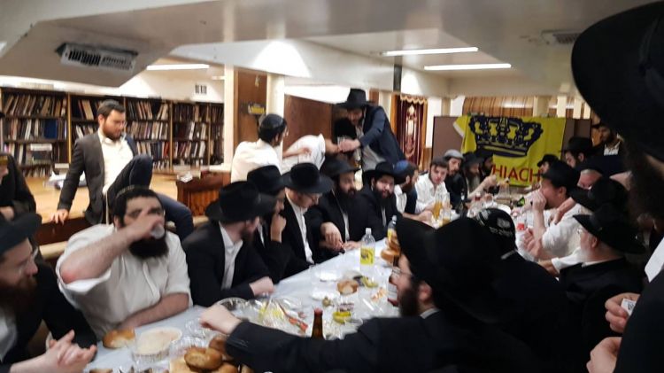 פינת החי ב770
