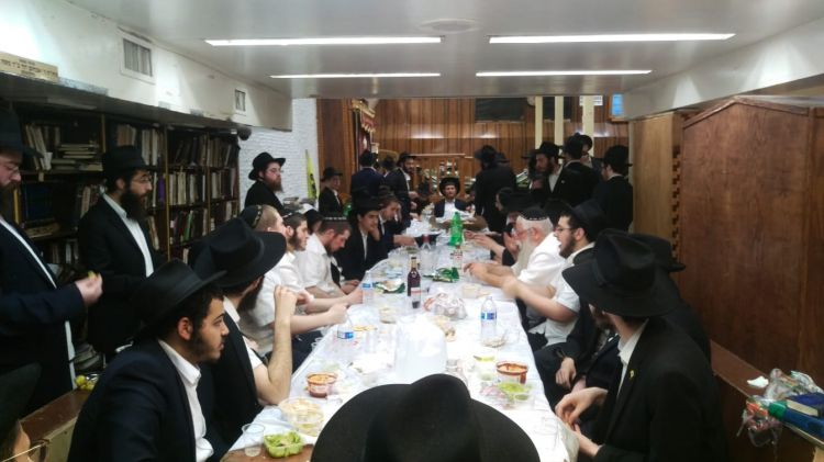 לאחר חלוקת כוס של ברכה התמימים בפינת החי