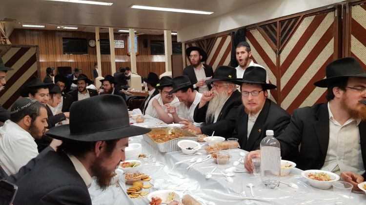 התוועדות פינת החי