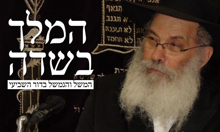 משל המלך בשדה והנמשל בדורנו