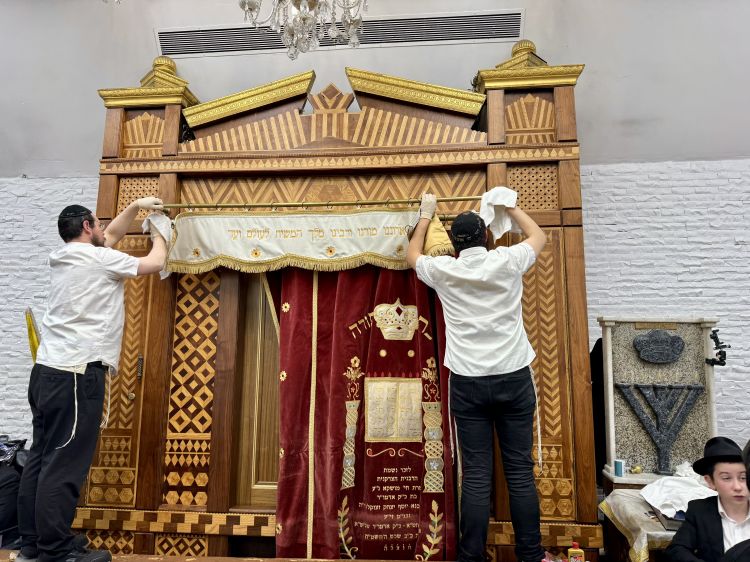 הגלריה השבועית מבית משיח לפרשת לך לך