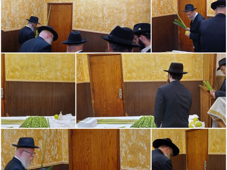 בחרדת קודש: נציגי האורחים קיבלו ד' מינים