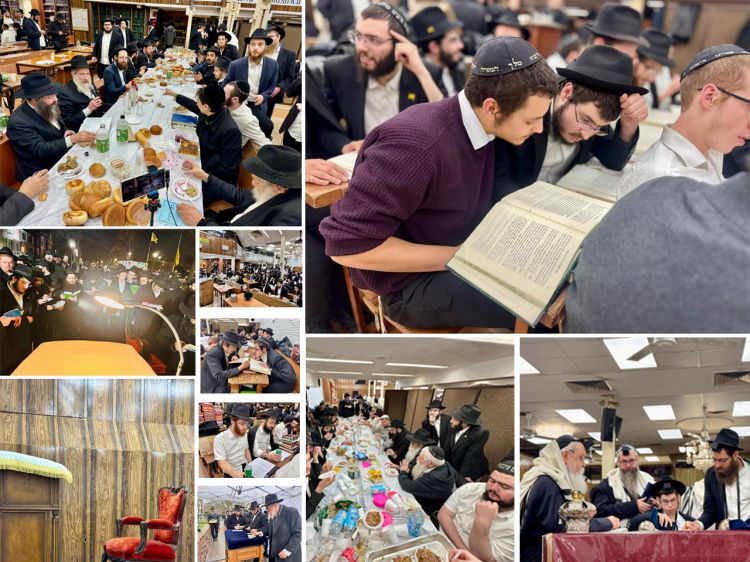 הגלריה השבועית - שבוע פרשת וישלח ב-770