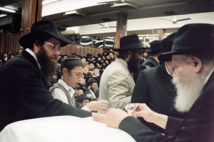החסיד ששימח רבבות • גלריית תמונות של ר' אבי פיאמנטה