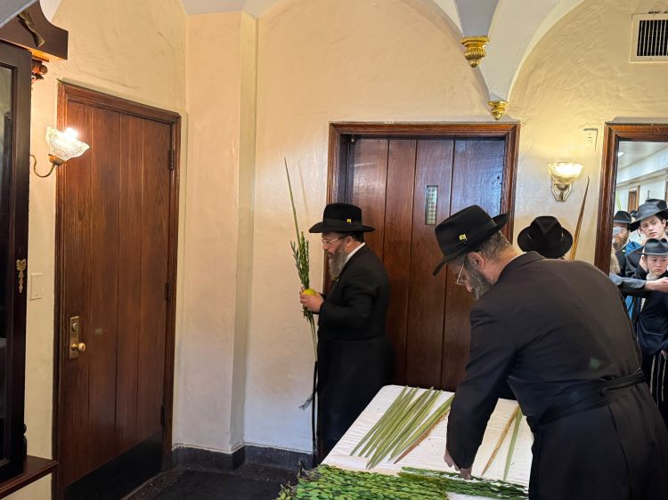 הנציגים קיבלו ד' מינים מהרבי שליט"א מלך המשיח 