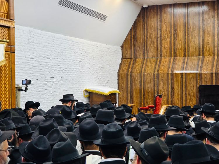 תהלים בליל הושענא רבה עם הרבי שליט"א מלך המשיח