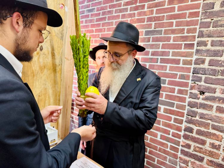 אלפים מברכים מידי יום על לולבו של המשיח