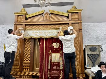 הגלריה השבועית מבית משיח לפרשת לך לך