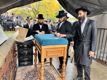 הגלריה השבועית מבית משיח לשבוע פרשת נח