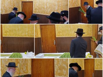 בחרדת קודש: נציגי האורחים קיבלו ד' מינים