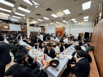 הגלריה השבועית מבית משיח: פרשת משפטים