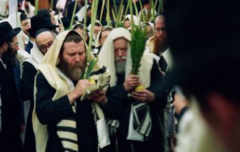 פרסום ראשון | יומן חדש מחודש החגים תשמ"ח