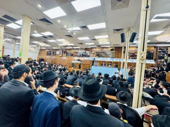 הרבנים השיבו: הרבי שליט"א מלך המשיח חי וקיים
