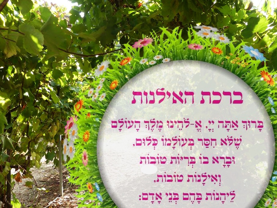 ברכת האילנות • חודש ניסן
