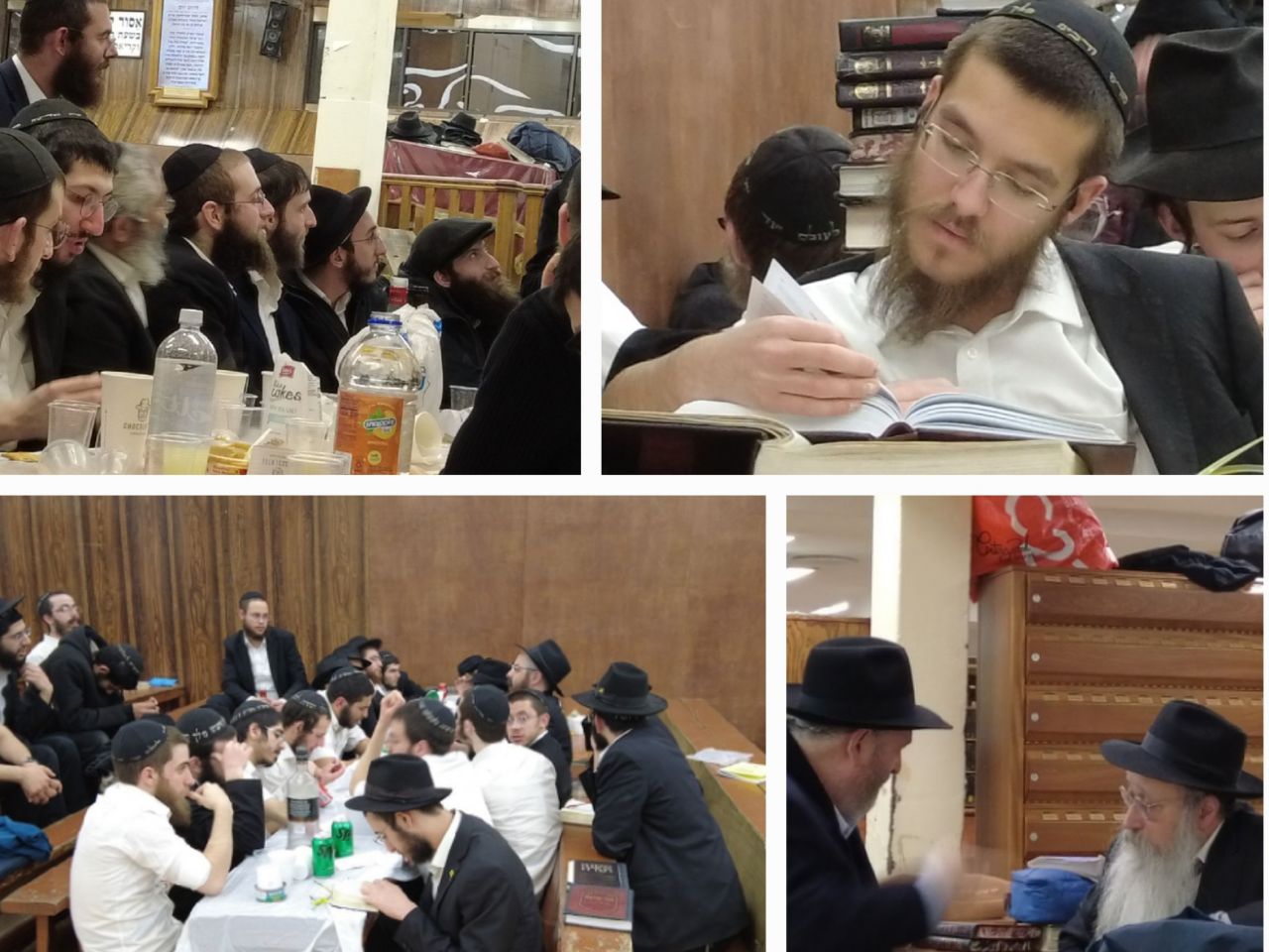 הגלריה השבועית מבית חיינו: תרומה תשפ"ה