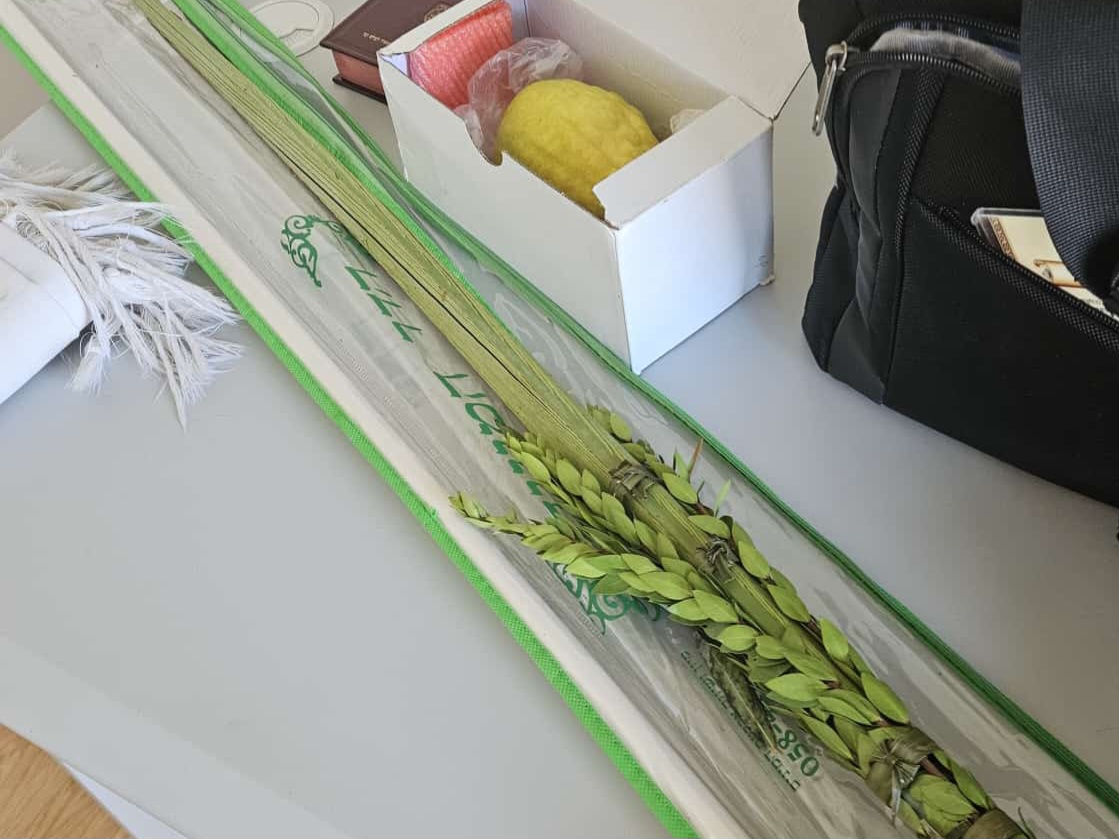 סיפור נס ארבעת המינים במדגסקר מגלה את אחדות ישראל