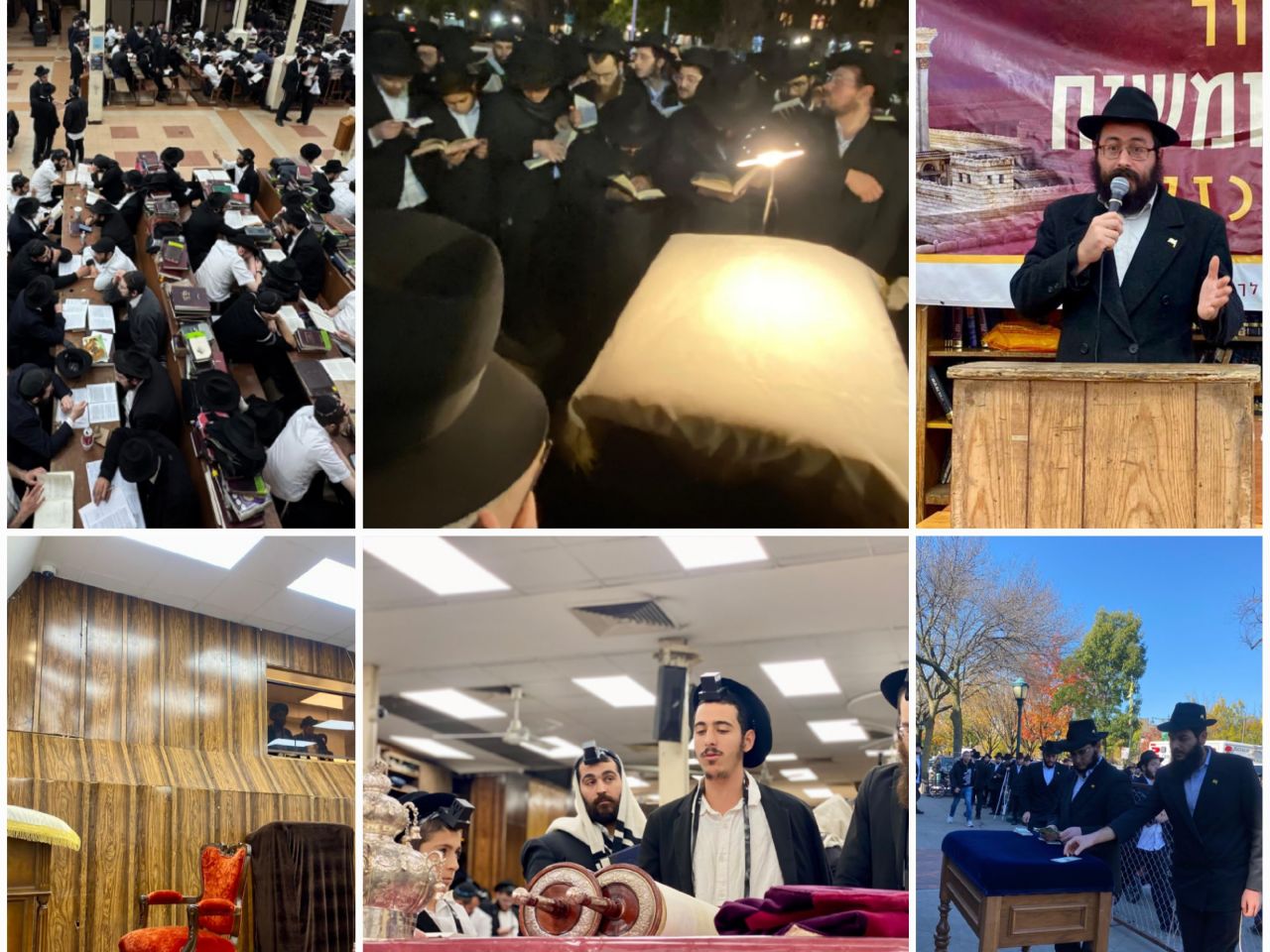 הגלריה השבועית מבית חיינו: שבוע פרשת וירא