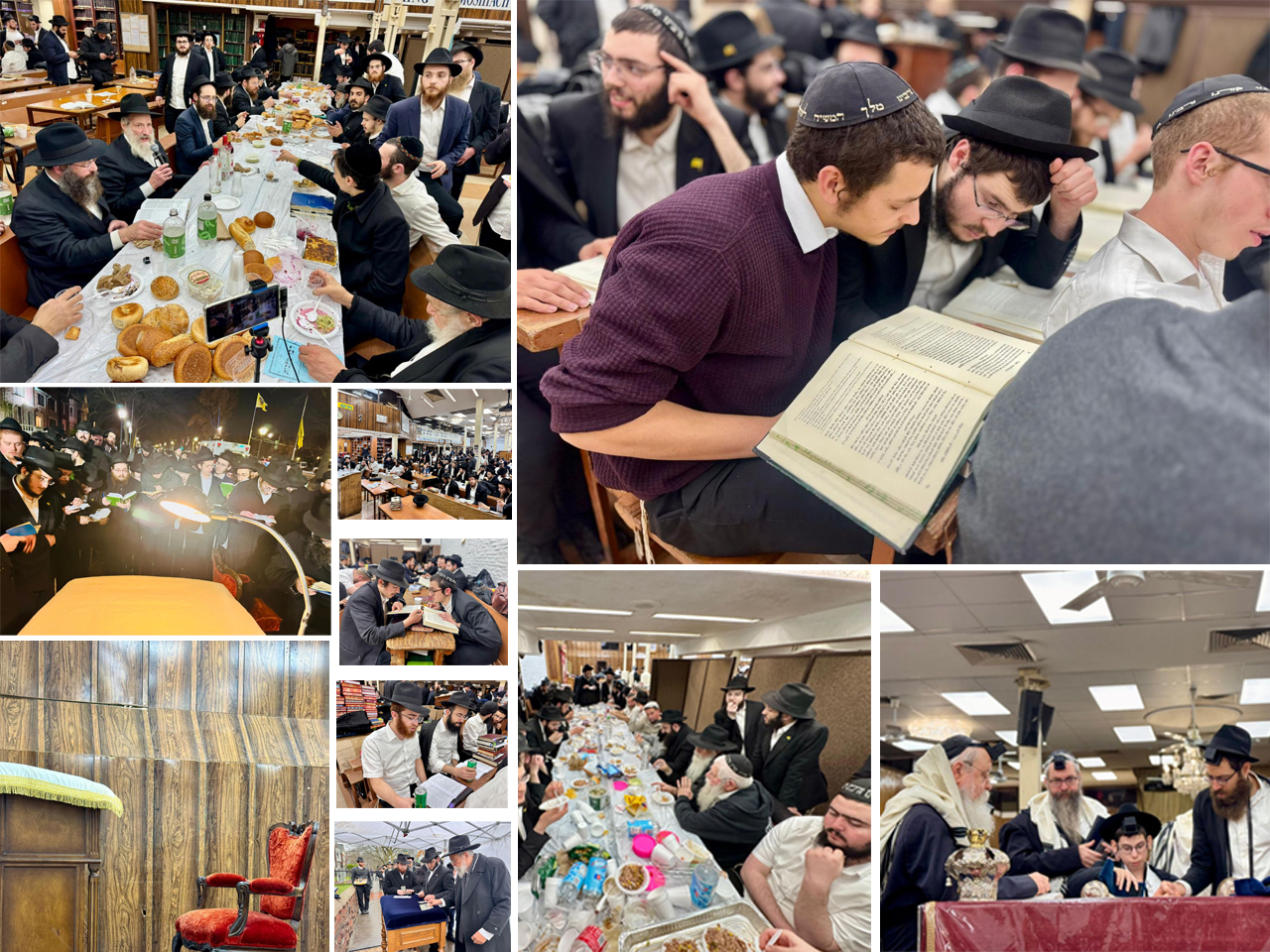 הגלריה השבועית - שבוע פרשת וישלח ב-770