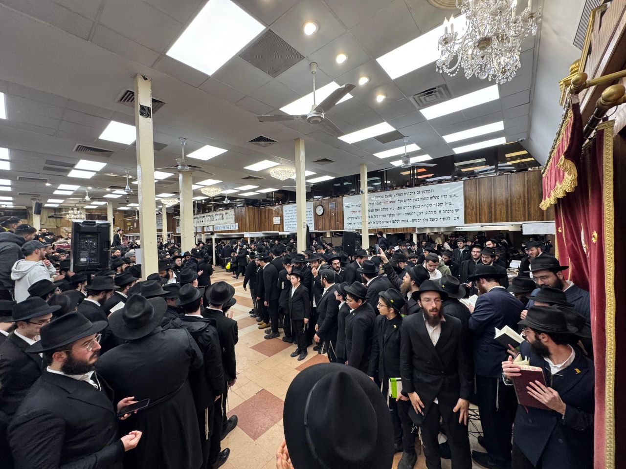 הגלריה השבועית מבית משיח: פרשת יתרו