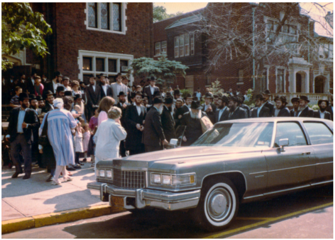 עלי הגהה, תמונות, וידיואים מענות בפרסום ראשון | תשורה להורדה