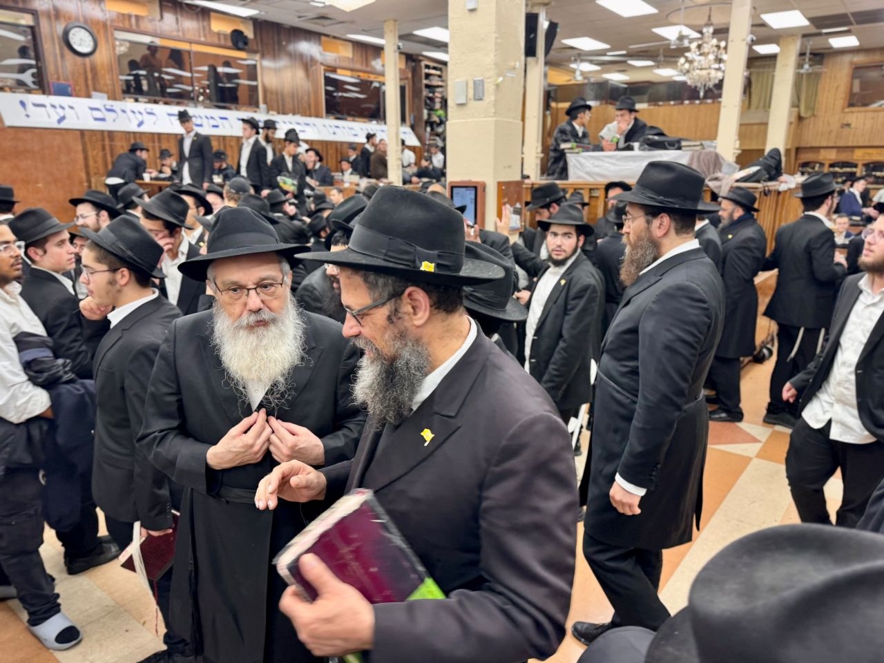 אלחנן סגל תיעד: קראון הייטס מתכוננת לחג הסוכות