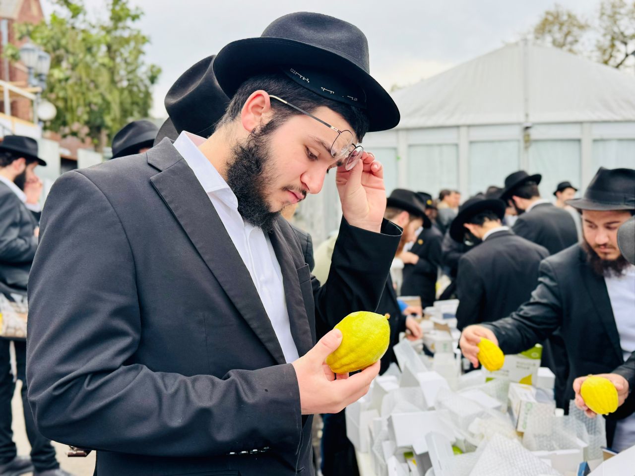אלחנן סגל תיעד: קראון הייטס מתכוננת לחג הסוכות