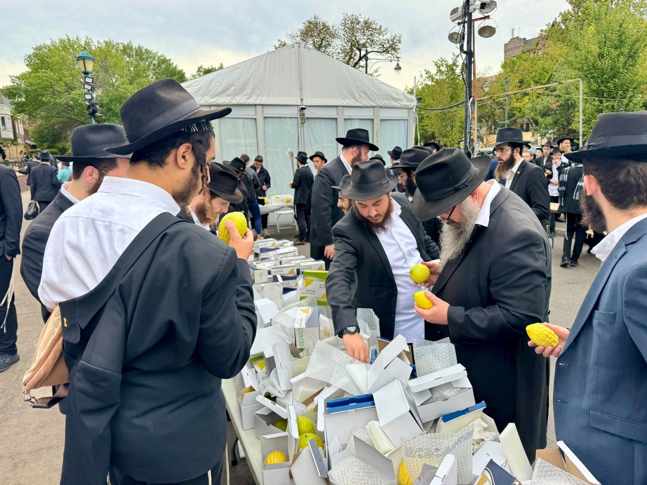 אלחנן סגל תיעד: קראון הייטס מתכוננת לחג הסוכות