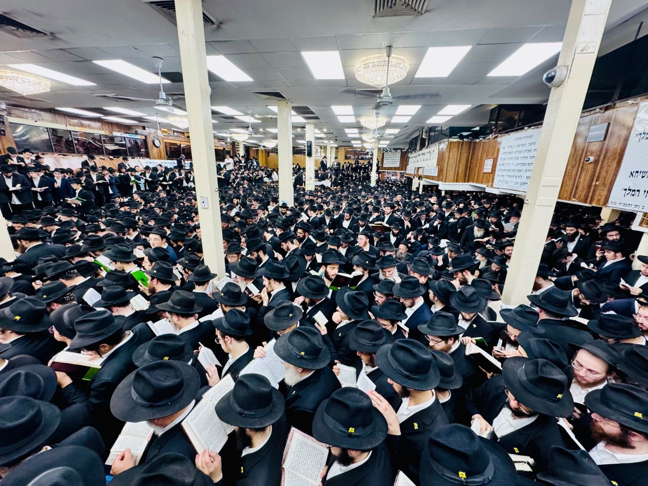 תהלים בליל הושענא רבה עם הרבי שליט"א מלך המשיח