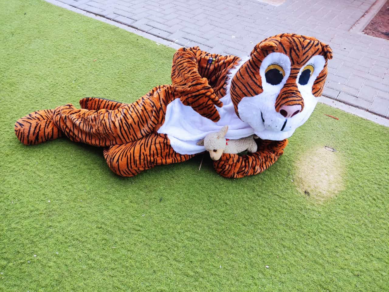 ונמר עם גדי ירבץ