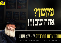 עקשן? אתה שם...