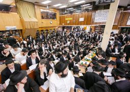 מעל 500 השתתפו: סדר שיחות ענק לדוברי אנגלית