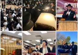 הגלריה השבועית מבית חיינו: שבוע פרשת וירא