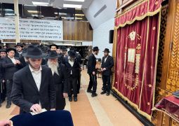 הגלריה השבועית מבית משיח: פרשת ויחי