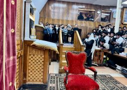 יום הגדול והקדוש ב770 / גלריית תמונות