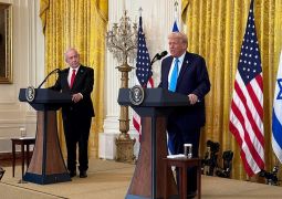 מי הראש שלנו? // טור דעה נוקב