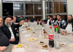 תשובות מדוייקות בנרקיסים