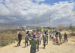 התמימים "כבשו" את בקעת הירדן