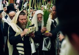 פרסום ראשון | יומן חדש מחודש החגים תשמ"ח