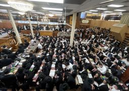 770: התמימים לומדים גאולה ומשיח