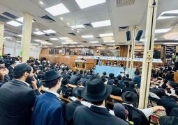 הרבנים השיבו: הרבי שליט"א מלך המשיח חי וקיים